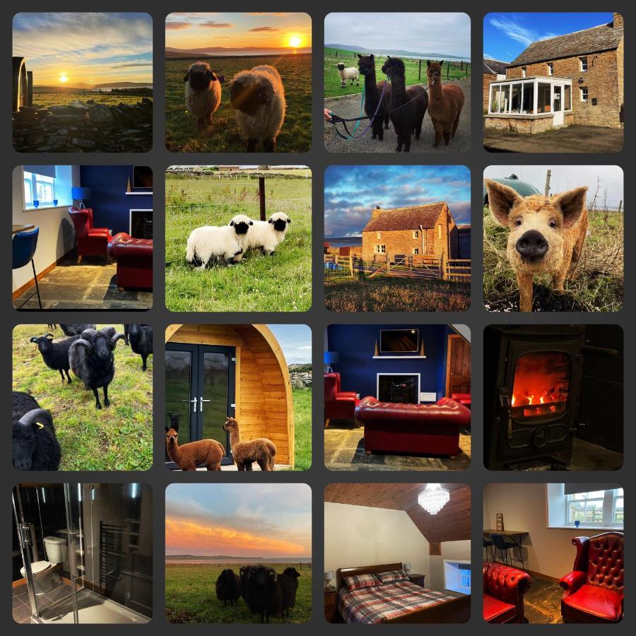 Orkney Farm Bothy Villa Stromness Eksteriør billede